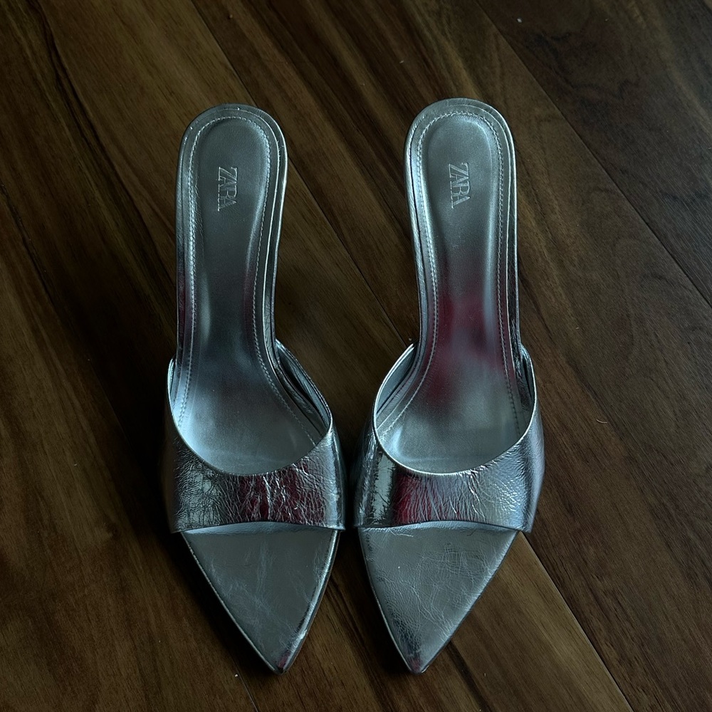 Zara Metallic Leather Slides